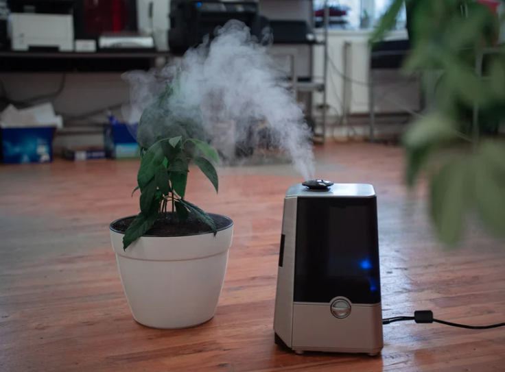 Can Air Purifiers Help With Weed Smoke?