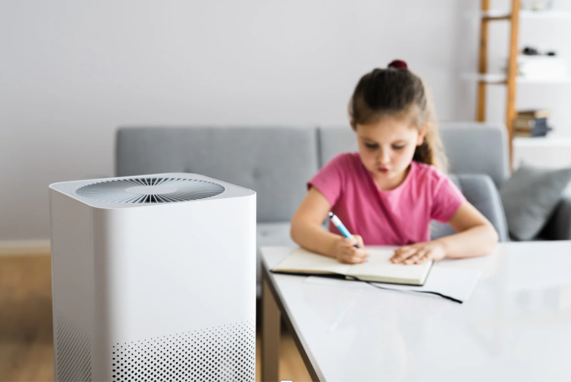 Do You Put Water in an Air Purifier?