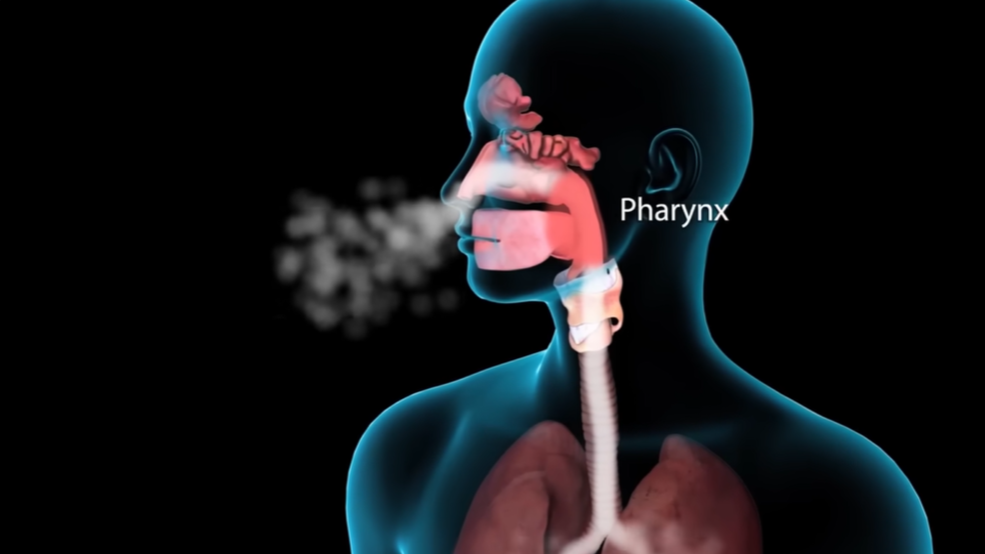 Does Air Purifier Help With Stuffy Nose Relief?