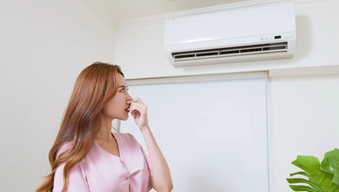 Do Air Purifiers Remove Musty Smells?